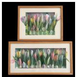 Two Framed Accordion Style Pastel Tulip Paintings