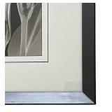 Petite Delicate Black and White Floral Framed Art