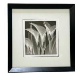 Petite Delicate Black and White Floral Framed Art