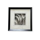 Petite Delicate Black and White Floral Framed Art