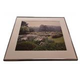 "Rainfall in The Emperors Garden" Framed Photographic Print