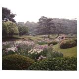 "Rainfall in The Emperors Garden" Framed Photographic Print