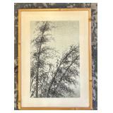 Japanese Print Bamboo Forest by EIICHI KOTOZUKU