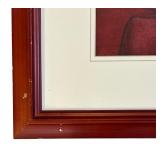 Adorable Cocker Spaniel Dog Print