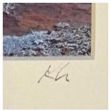 Geyser Photographic Print by Kathryn A. Hara