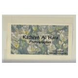 Geyser Photographic Print by Kathryn A. Hara