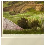 Stunning Photograph Matted and Ready to Frame 