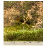 Stunning Photograph Matted and Ready to Frame 