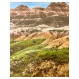 Stunning Photograph Matted and Ready to Frame 