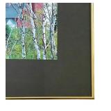 Pretty Framed and Matted Photograph