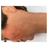 Vintage Len Insull Jr. Ventriloquist Doll Head with Mechanism