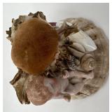 Victorian Shell Pincushion and Framed Antique Postcard