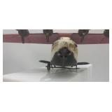 Vintage Wyandotte Toys CAA China Clipper Tin Airplane