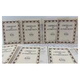Set of 9 Disney Lady and the Tramp Collectible Plates with Some Certificates