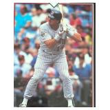 Framed 1991 Minnesota Twins World Series Champs Poster