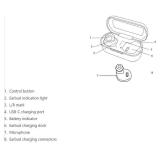 DARTWOOD DW-TWS350B True Wireless Earbuds