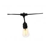 NEW Living Accents LED Edison Vintage Light Set Warm White 18 ft 10 lights