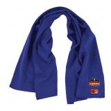 NEW 2 Pack of Ergodyne Chill-Its 6606FR FR Cooling Towel - BLUE