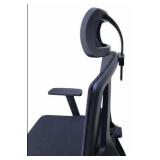 GARLIFUR **ASSEMBLED** ERGONOMIC OFFICE CHAIR MESH HIGH BACK