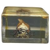 TAXIDERMY INSECTS, LOT OF 2