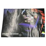 STAR WARS: LEGO 4481 COUNTED. COMPLETE SET.  HAILFIRE DROID