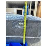 Perfect Sleeper Radiant Rest Queen Firm 14