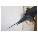 Sailfish replica