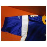 Brett Favre Vikings Jersey
