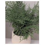 3 Piece Faux Ferns- Table Top Decor