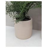 3 Piece Faux Ferns- Table Top Decor