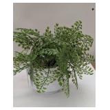 Set of 3 Faux Plants - 1 Spruce & 2 Ferns