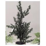 Set of 3 Faux Plants - 1 Spruce & 2 Ferns