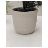 Set of 3 Faux Plants - 1 Spruce & 2 Ferns