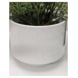 Set of 3 Faux Plants - 1 Spruce & 2 Ferns