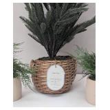 Set of 4 Faux Plants - 1 Larger Spruce & 3 Ferns