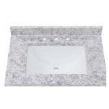 Home Decorators Collection 31 in. W x 22 in. D Cultured Marble White Rectangular Single Sink Vanity Top in Everest