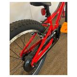 Trek Precaliber 20 Kids