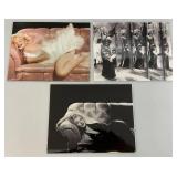 Misc. 8" x 10" Marilyn Monroe Photographs