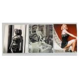 Misc. 8" x 10" Marilyn Monroe Photographs