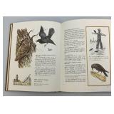 Misc. Collectibles/Household Décor & More