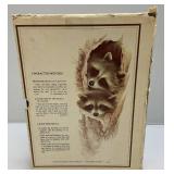 Misc. Collectibles/Household Décor & More