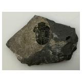 Misc. Polished Stones, Voo Doo Doll & More