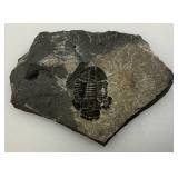 Misc. Polished Stones, Voo Doo Doll & More