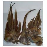 Pheasant Tails