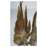 Pheasant Tails