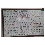 The Cycle Guide of Americas Dogs And Painting of Dog.