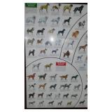 The Cycle Guide of Americas Dogs And Painting of Dog.