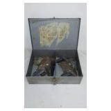 Megalodon Fossil Shark Teeth.