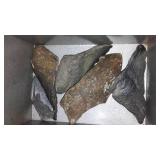 Megalodon Fossil Shark Teeth.