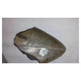 Megalodon Fossil Shark Teeth.